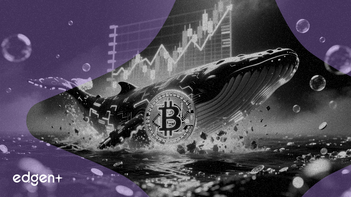 Piyasa köpüğü rekor seviyelere ulaşırken Bitcoin balinası 35 milyon dolarlık uzun pozisyon açtı
