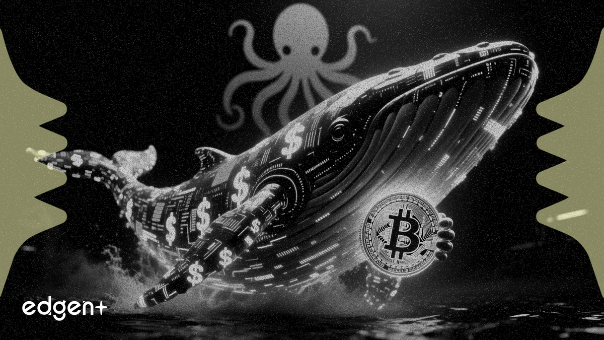 比特幣巨鯨從 Kraken 提現 365 枚 BTC，持倉總額達 2.81 億美元