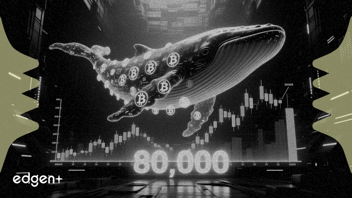 比特幣鯨魚增持量創2013年以來新高，價格在8萬美元下方徘徊
