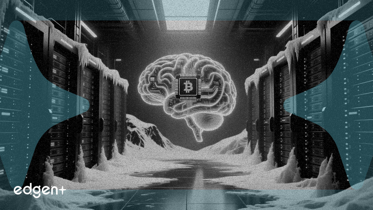 Bitdeer se tourne vers l'IA et construit un centre de données de 180 MW en Norvège