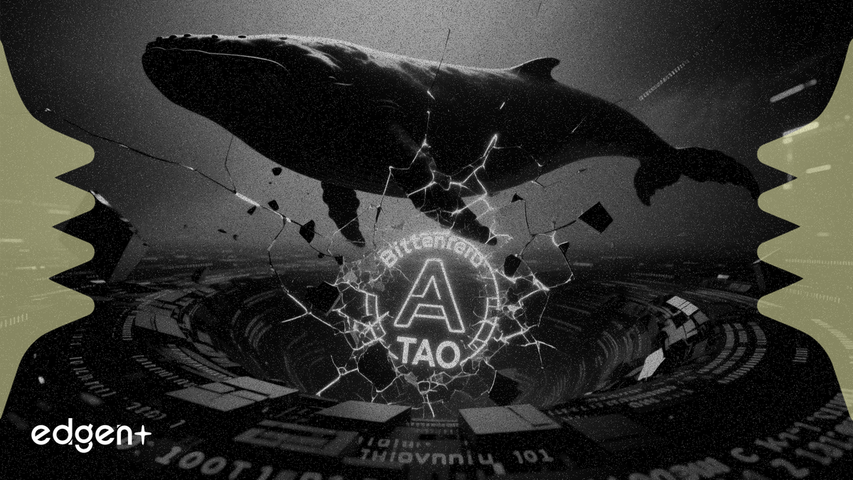 治理夥伴退出及大戶拋售導致 Bittensor TAO 暴跌 25%