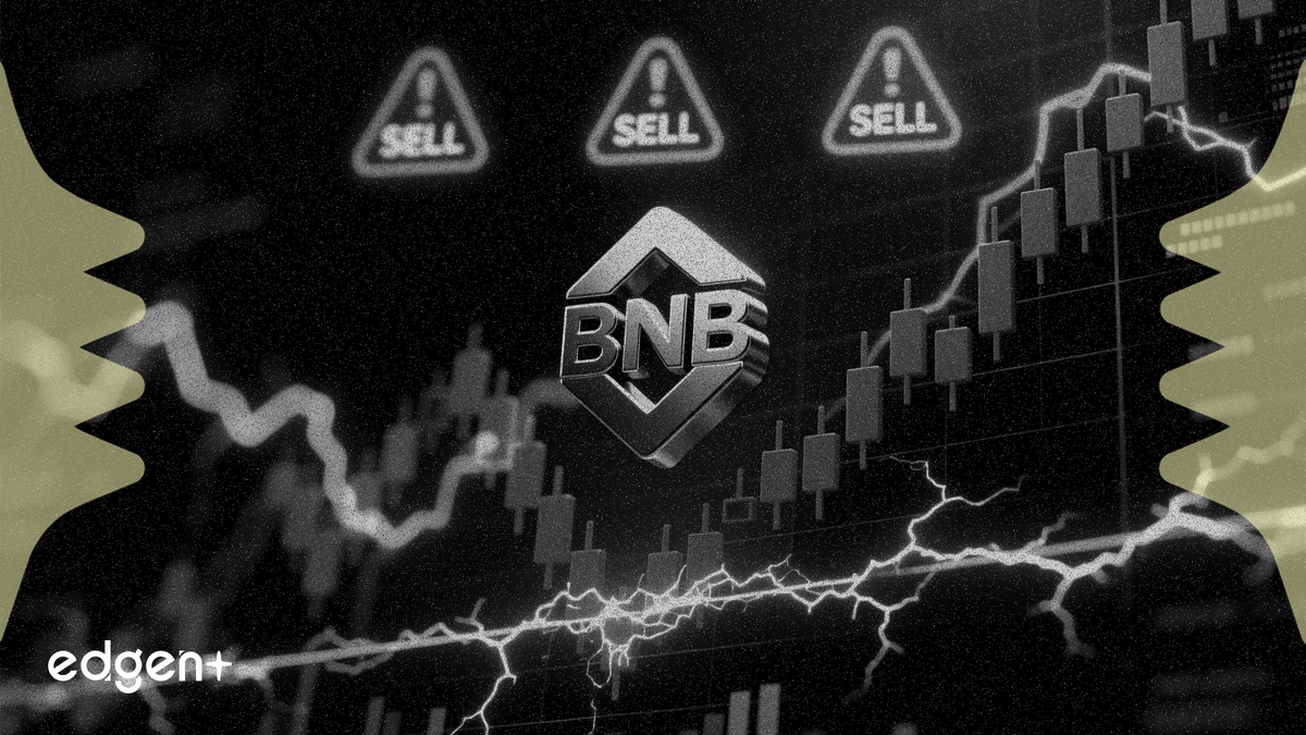BNB 價格受三大賣出訊號影響回踩關鍵支撐位