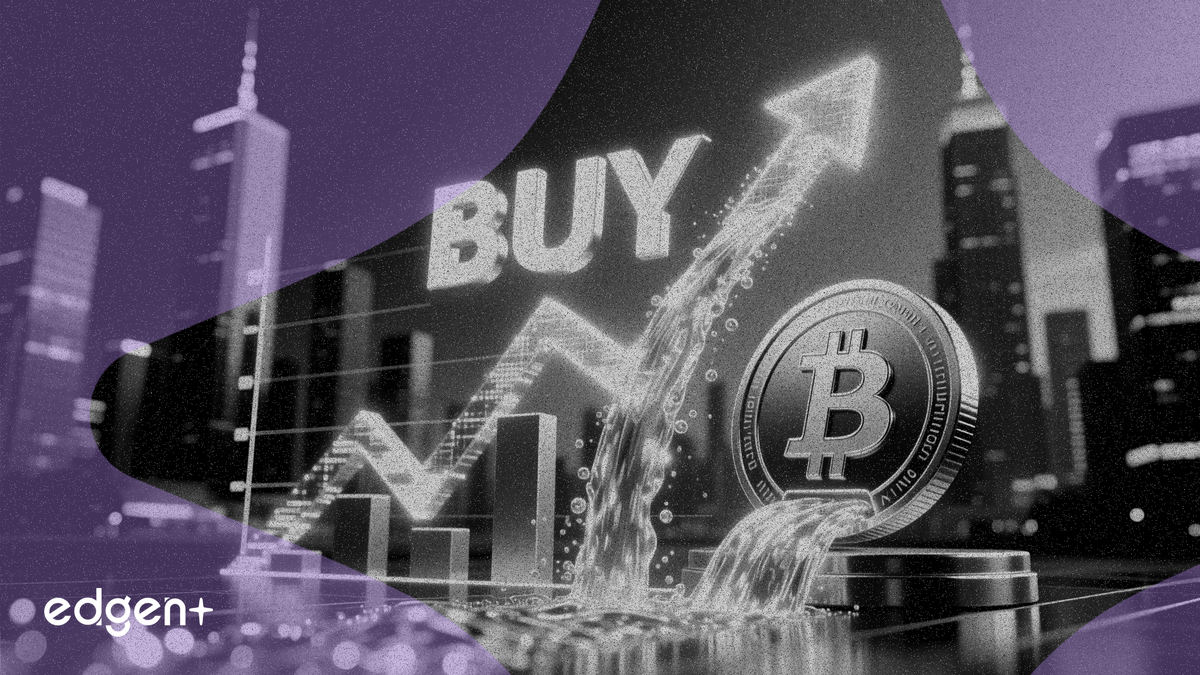 보스직핀 50% 배당 약속, '매수' 등급 획득