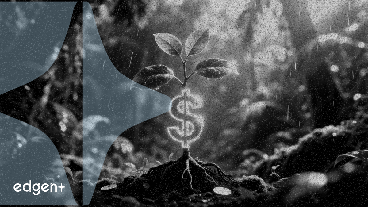 BTG Pactual Timberland Investment Group, Latin Amerika'da 660.000 dönümlük ormanı restore etmeye yönelik bir fon için 1,24 milyar dolar topladı; bu hamle, daha geniş pazar ve politika engellerine rağmen iklim çözümlerine yönelik kurumsal ilginin devam ettiğini gösteriyor.