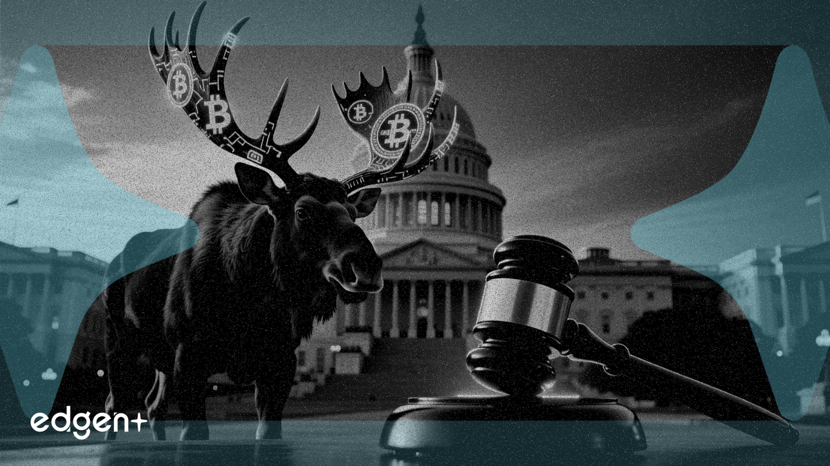 Bull Moose Project 敦促参议院就《加密货币透明度法案》采取行动