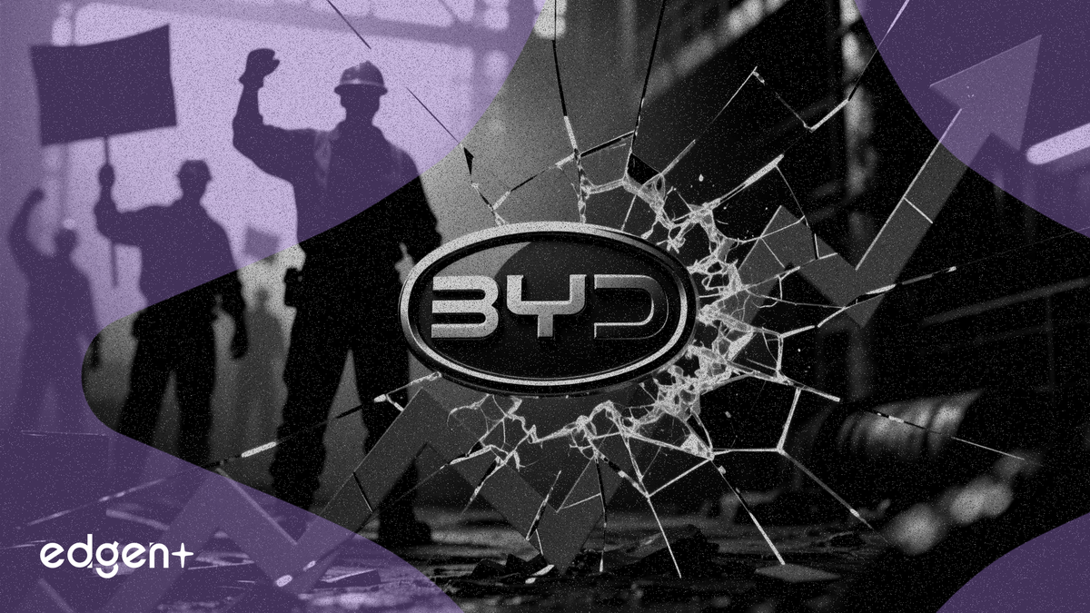 BYD Profit Plummets 55% as EU Labor Abuse Claims Mount