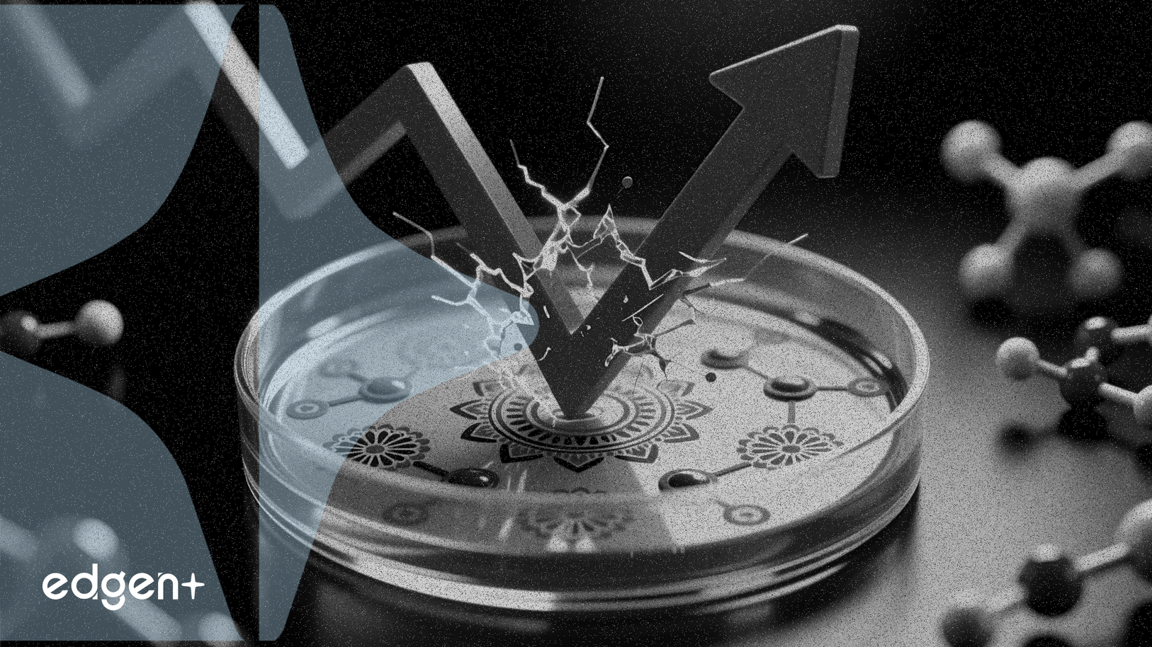 Co-Diagnostics Declines 4.35% Despite India Clinical Trial Progress