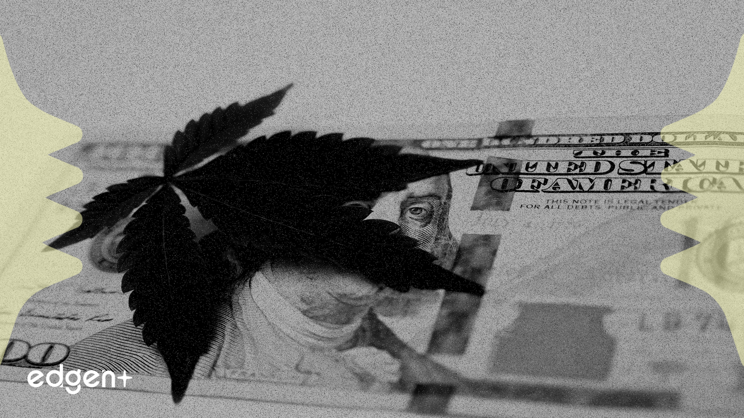 Canopy Growth Navega Vientos Financieros en Medio de sus Ambiciones en el Mercado Estadounidense