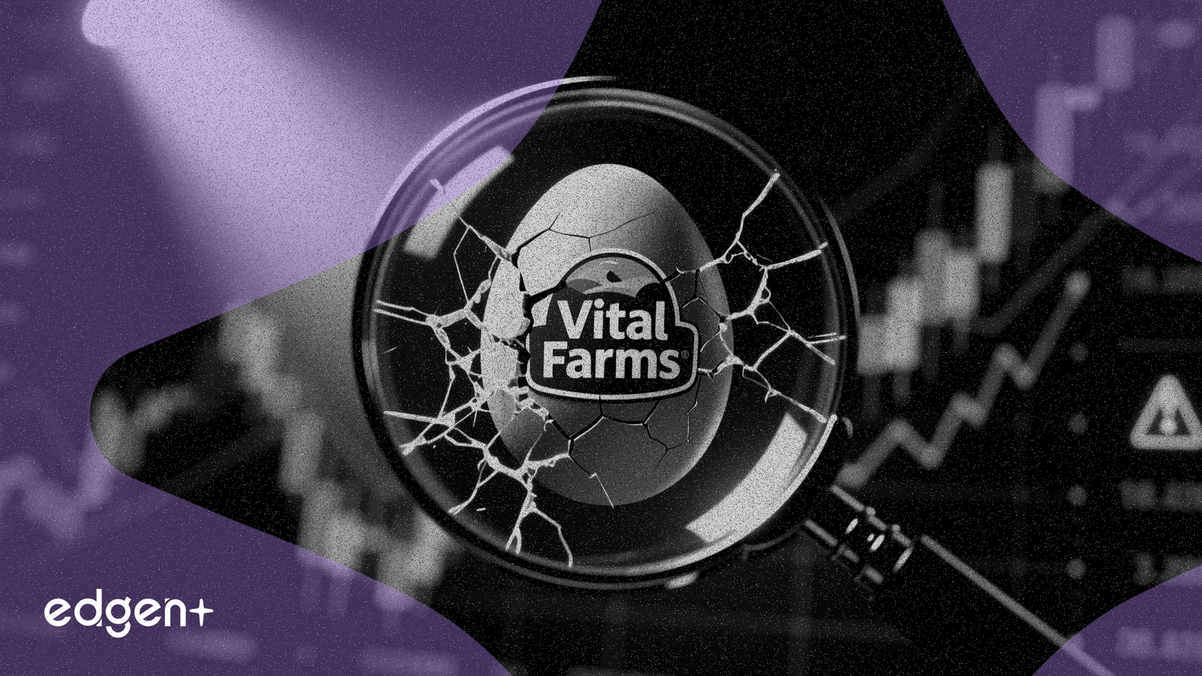 Vital Farms Đối mặt Cuộc Điều tra Chứng khoán Về Thông tin Sai lệch