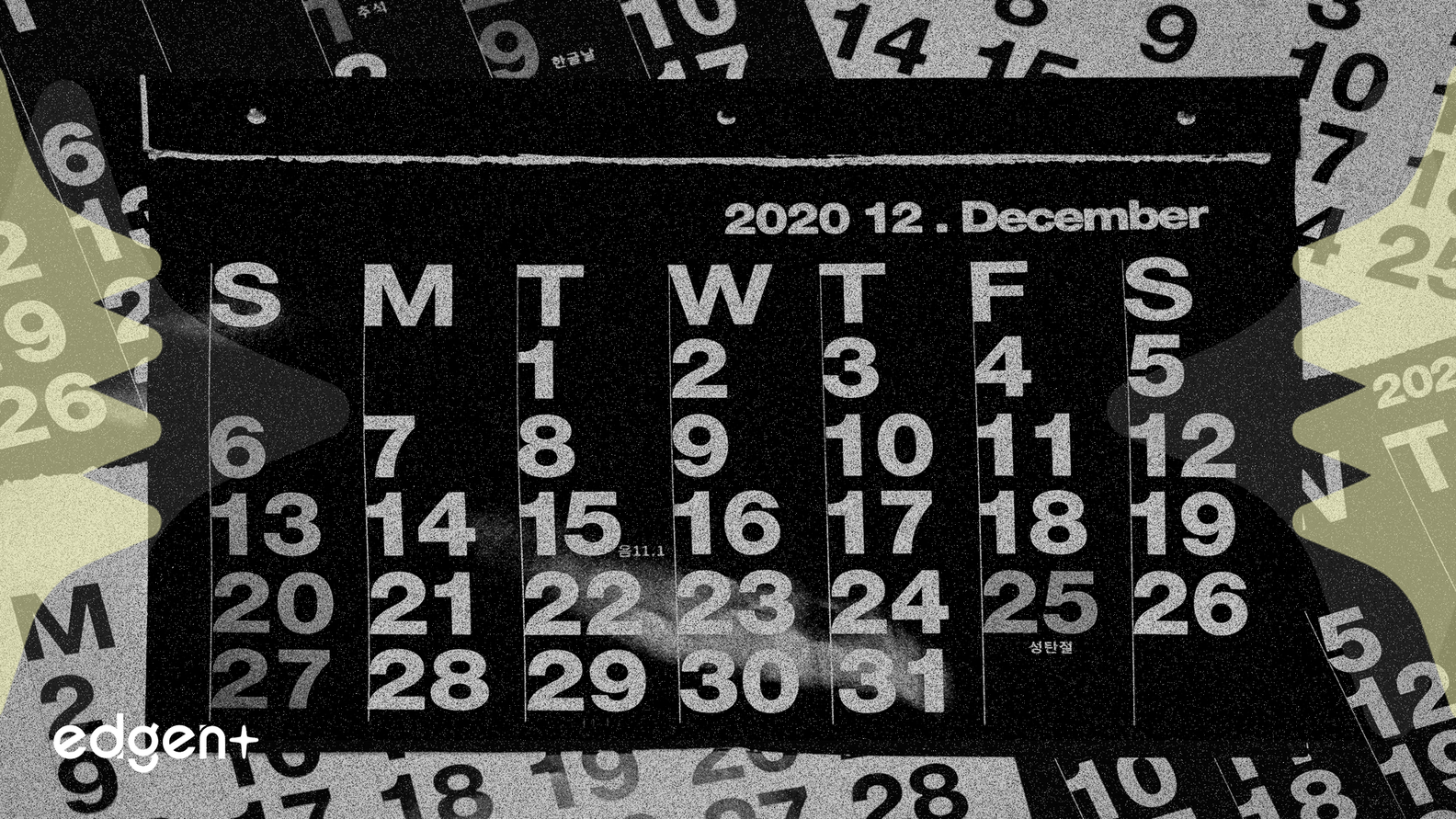 Analista recomienda estrategia de opciones, fija la mirada en selecciones de acciones para 2026