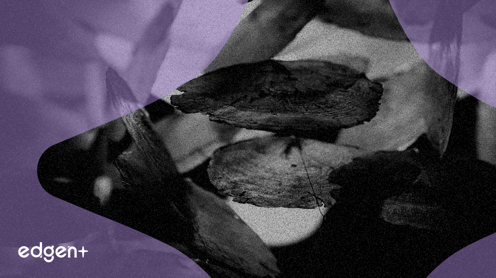 Analyst Upgrades Bolster Newmont Amid Commodity Boom