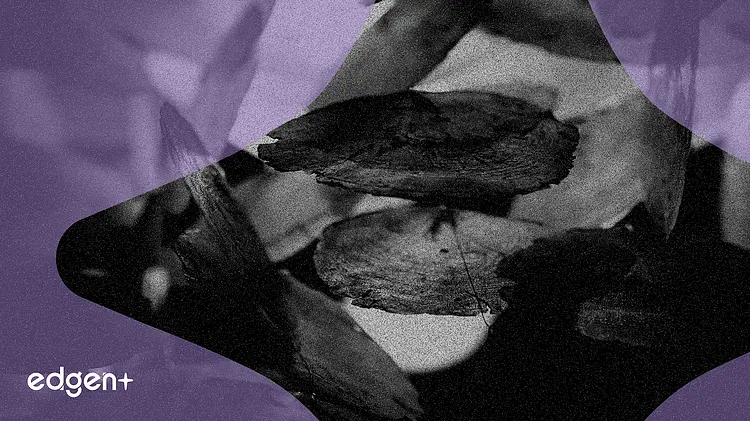 分析师上调评级提振纽蒙特,大宗商品繁荣之际