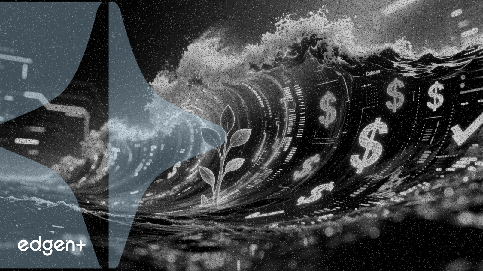 Datasea, Brüt Kârda %278 Büyüme Öncesi Açıklama Yaptı