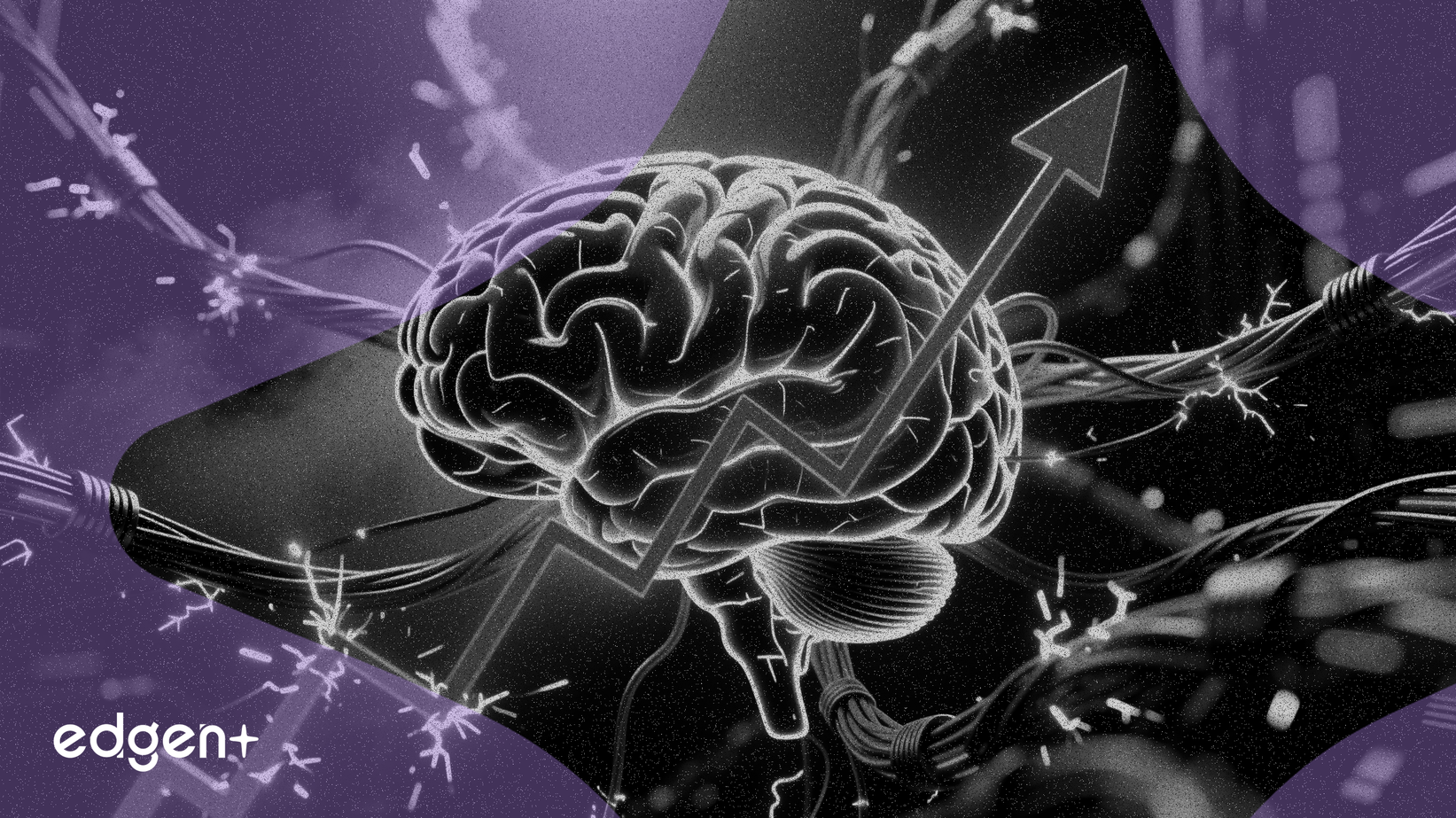 La IA provoca escasez de fibra óptica, los precios suben más del 20%