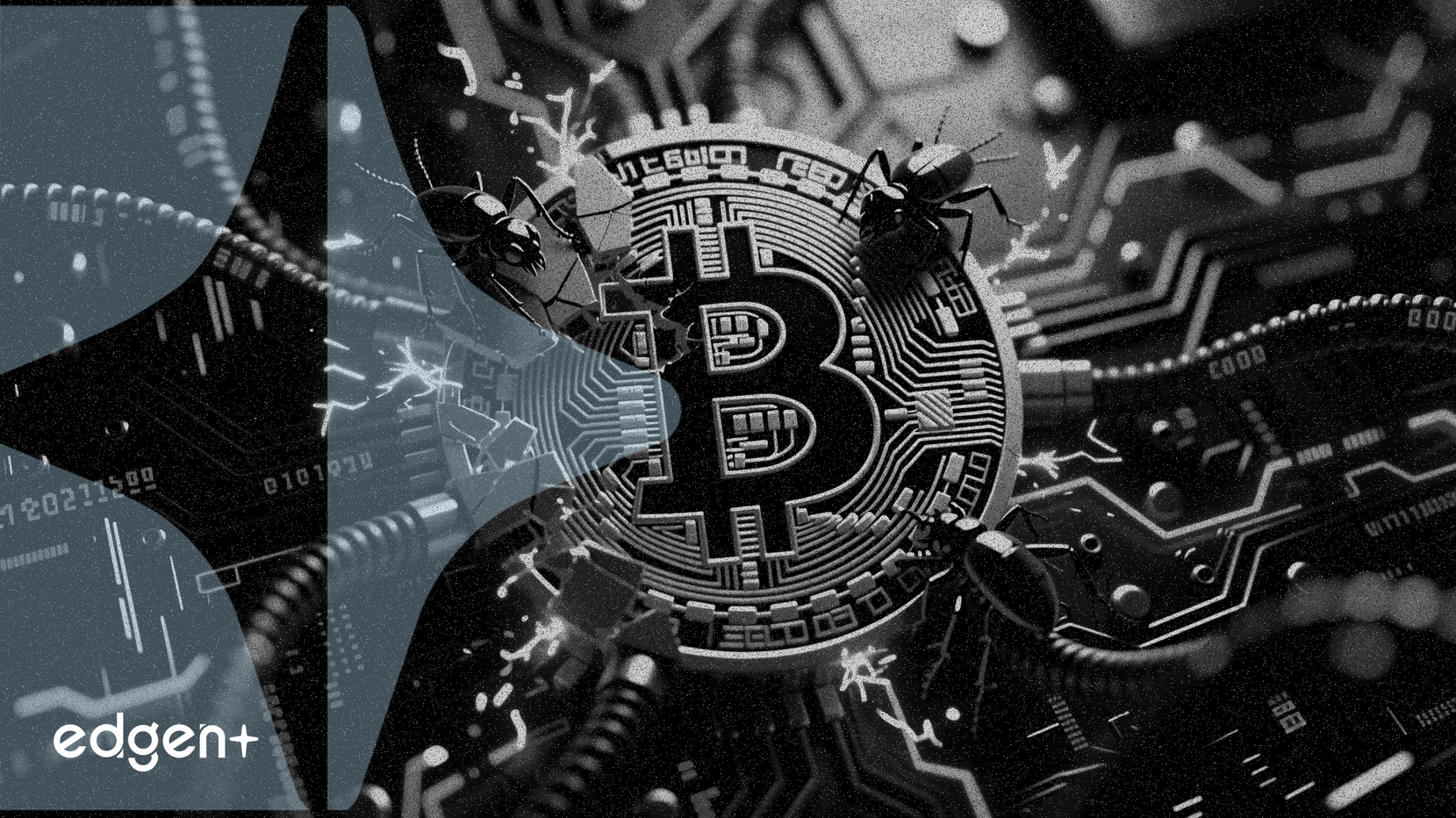 비트코인 BIP-110 클라이언트 버그 투성이, 네트워크 안정성 위협