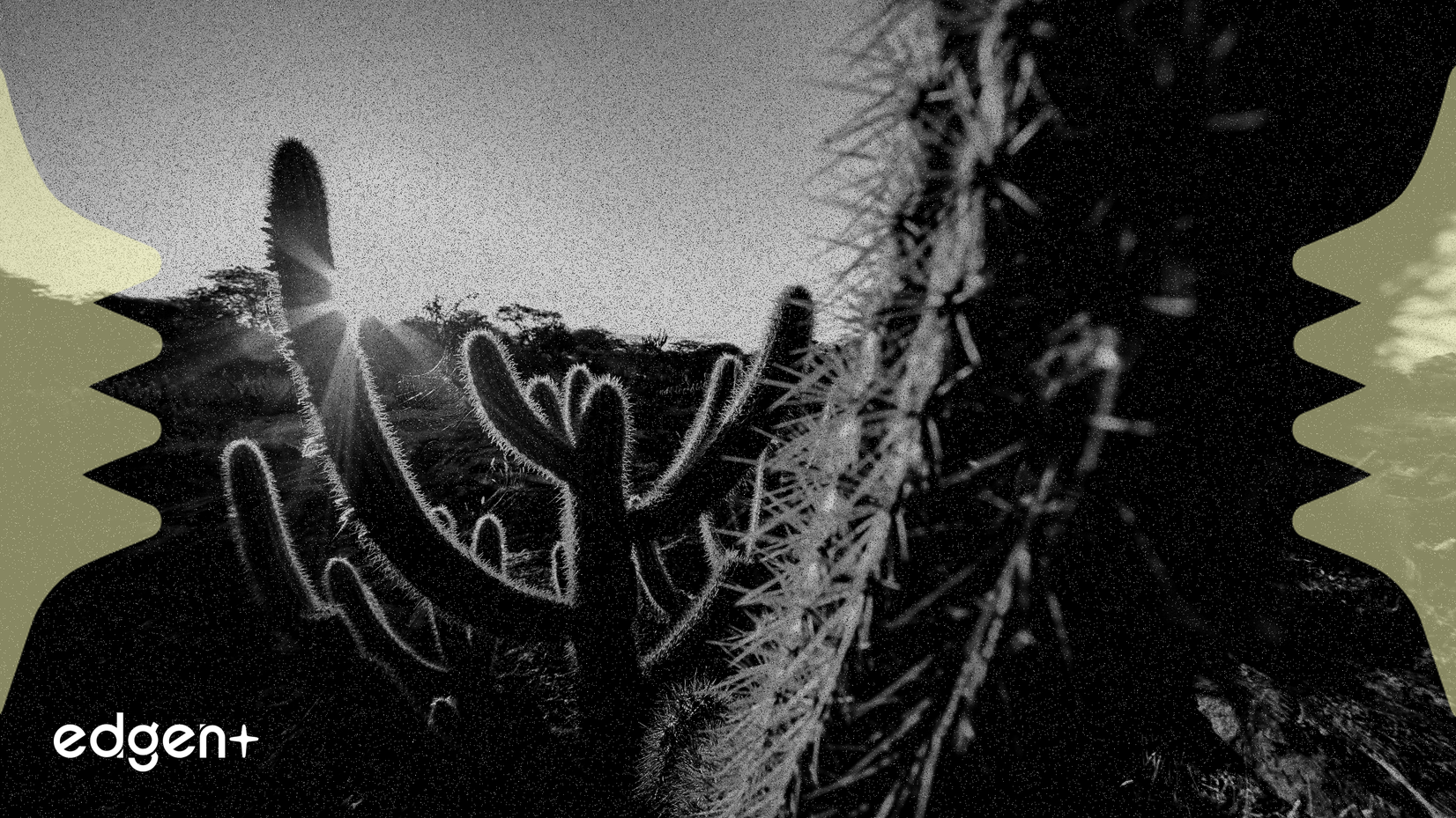 El sector energético se reequilibra hacia el gas, Occidental Petroleum es mejorada en medio de la consolidación