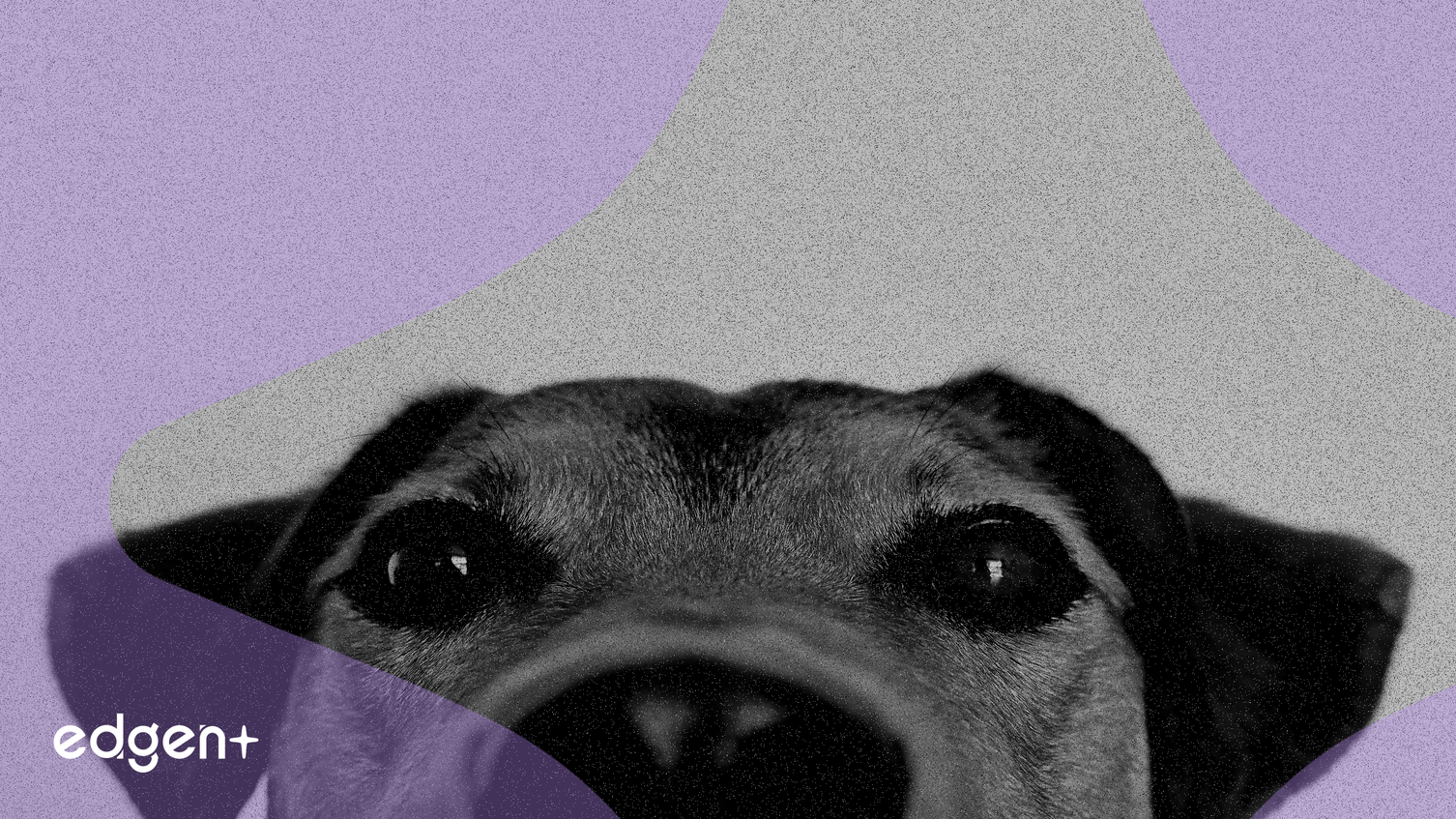 ByteNova, 엣지 AI 및 사용자 프라이버시 강조하는 N.O.V.A AI 동반자 출시