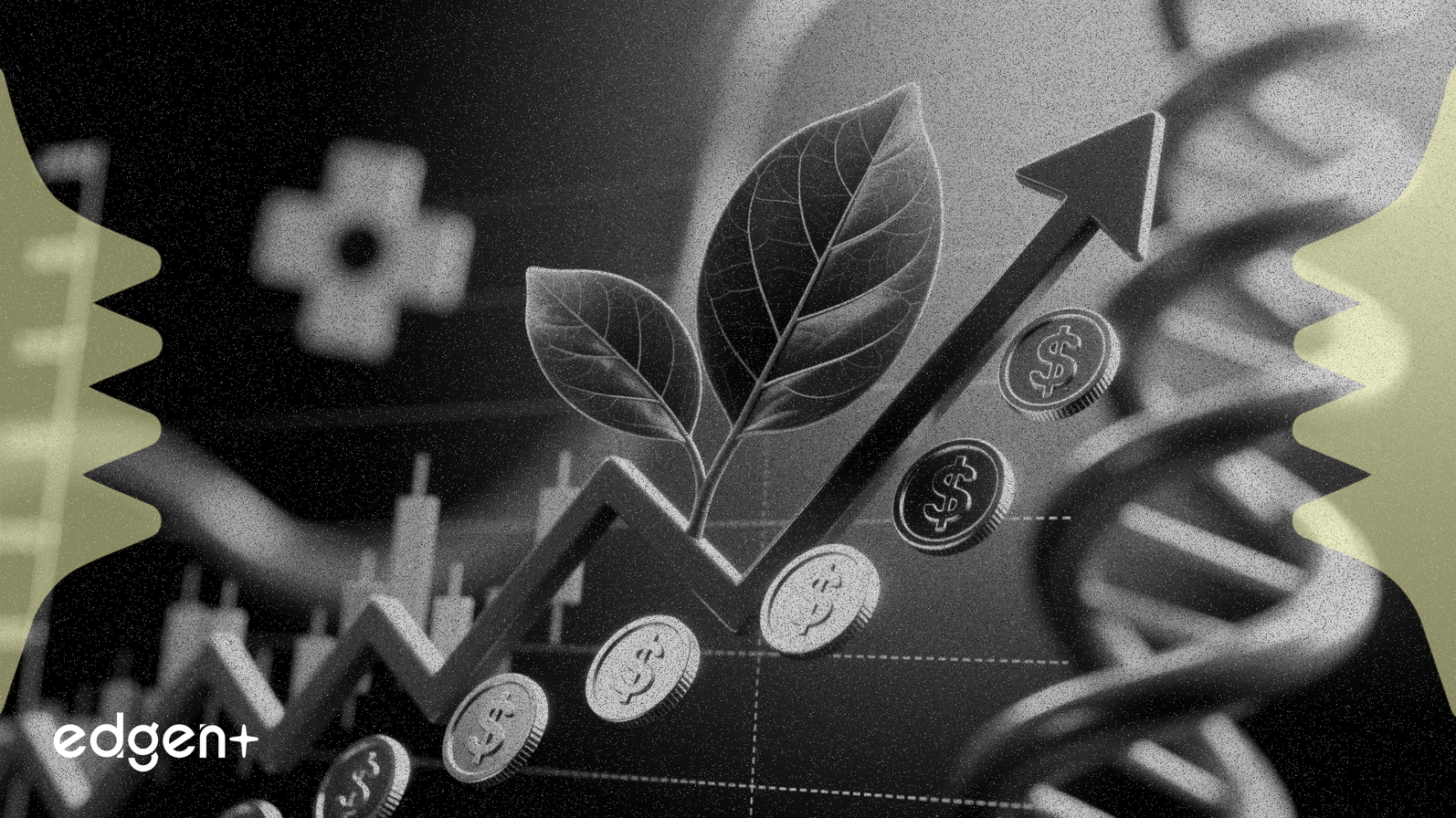 메이티안 헬스 주가, 34% 이익 성장 전망에 10% 상승