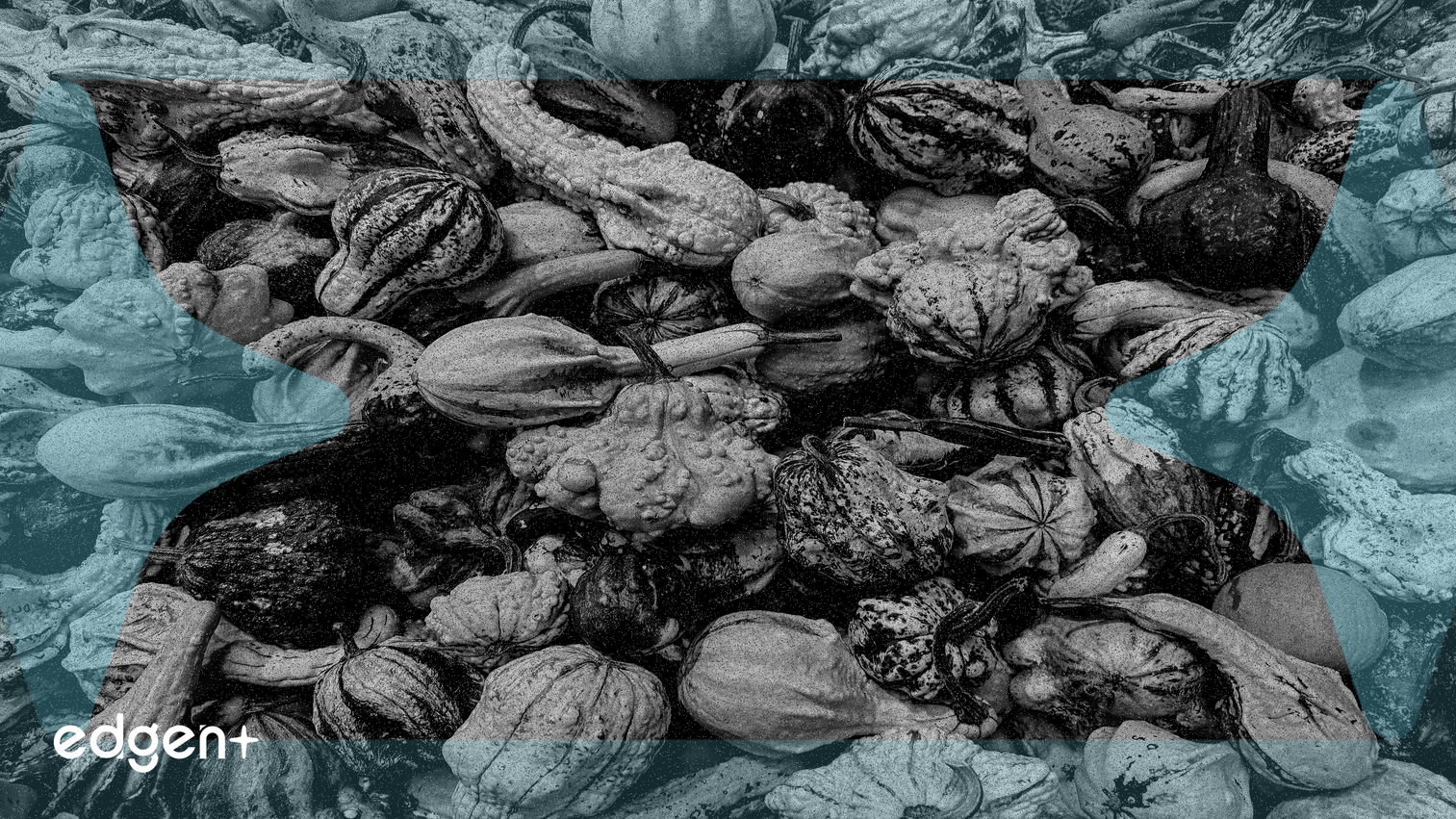 比特币上涨助推“山寨币季”预期，Layer-1山寨币领涨