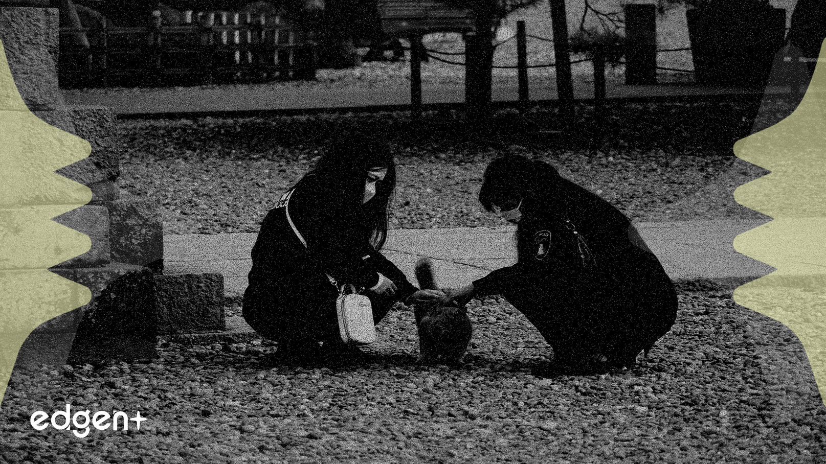 La Fondation Chubb fait don de 275 000 $ aux refuges pour animaux