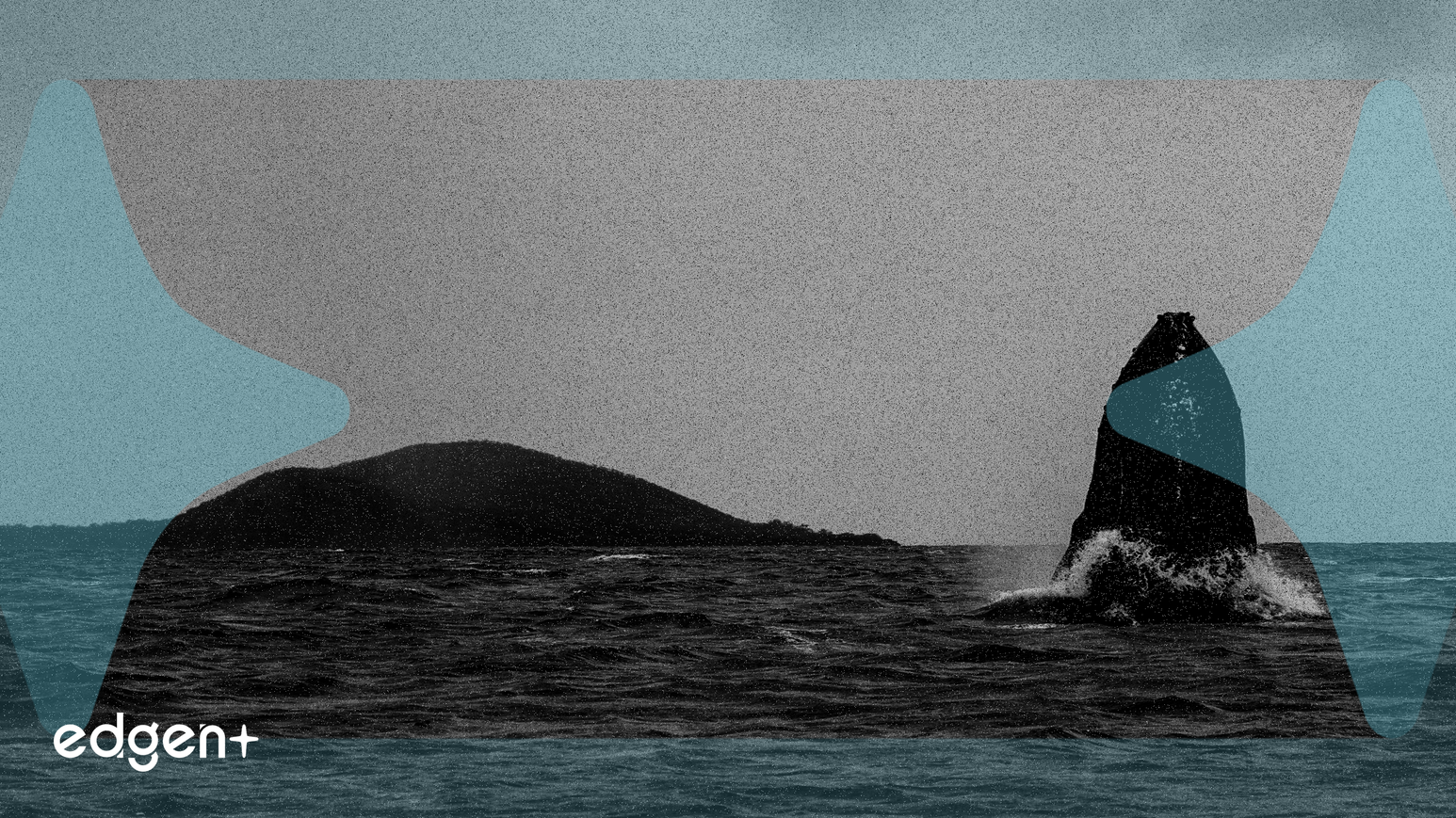 Solana Whale Transfers 100,000 SOL to Binance for Profit-Taking, SOL Price Drops 3%