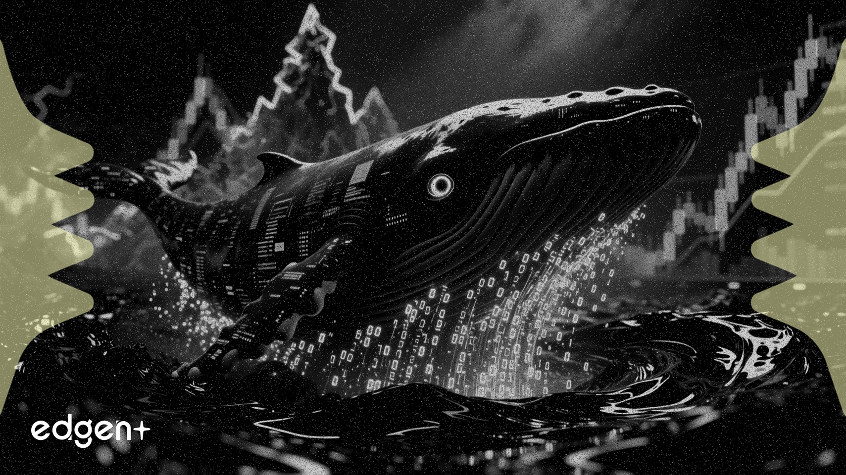 Whale Banks $1.18M as Oil Volatility Intensifies