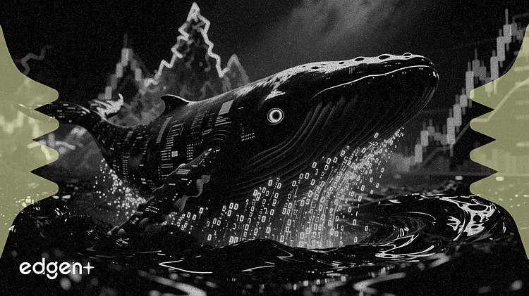 Whale Banks $1.18M as Oil Volatility Intensifies