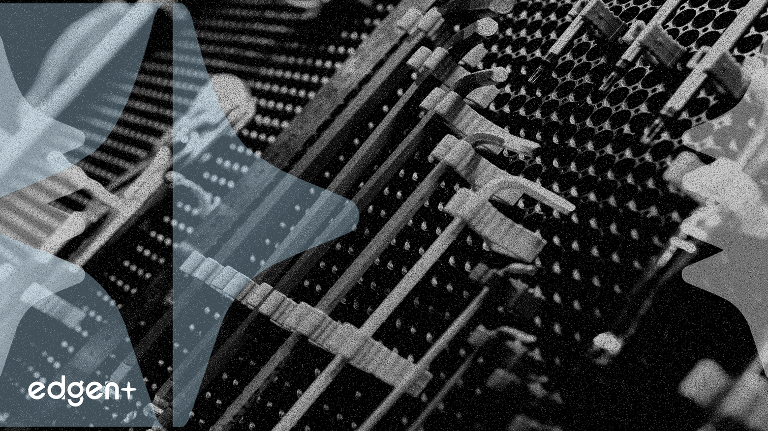 Credo, AEC 시장 지배력으로 상향 조정