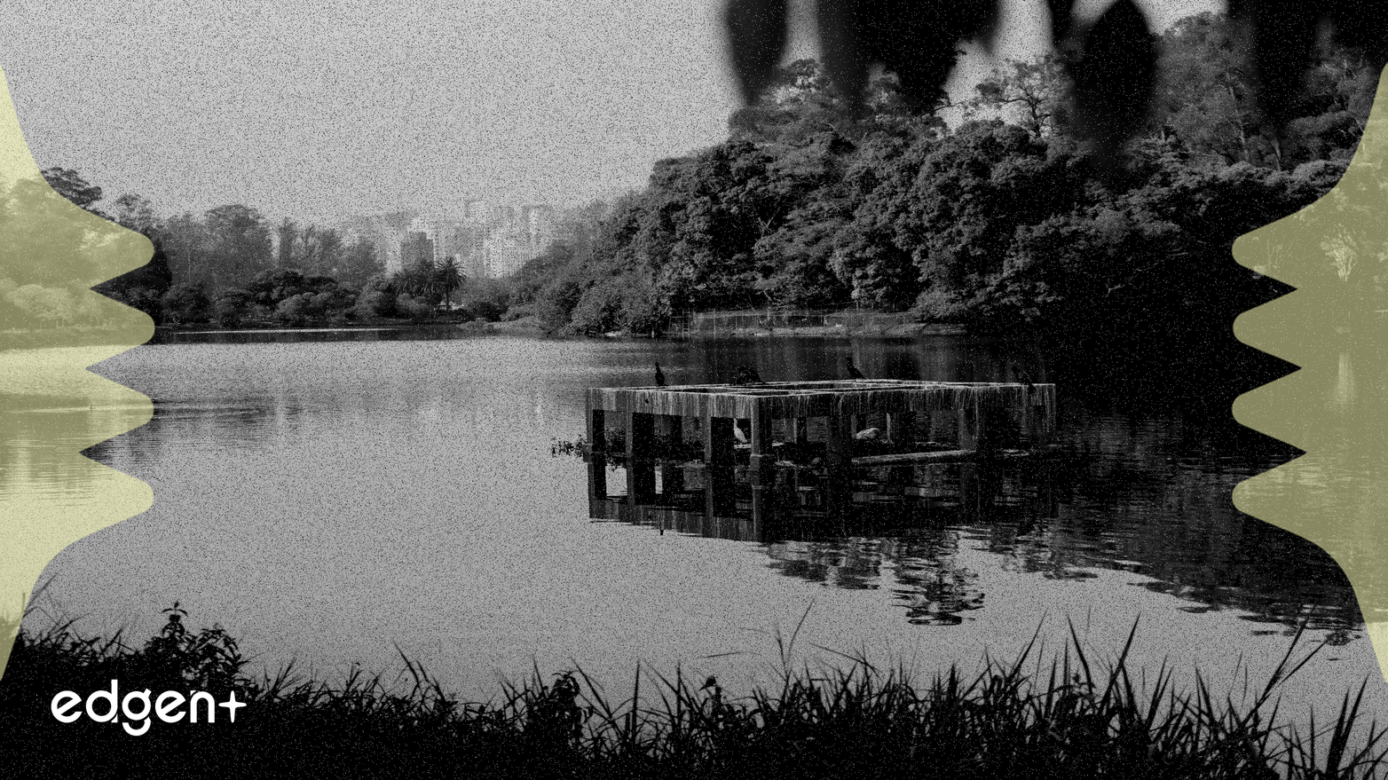 OKX aclara su postura sobre los Memecoins, condenando la manipulación dirigida por los exchanges mientras apoya los tokens impulsados por la comunidad