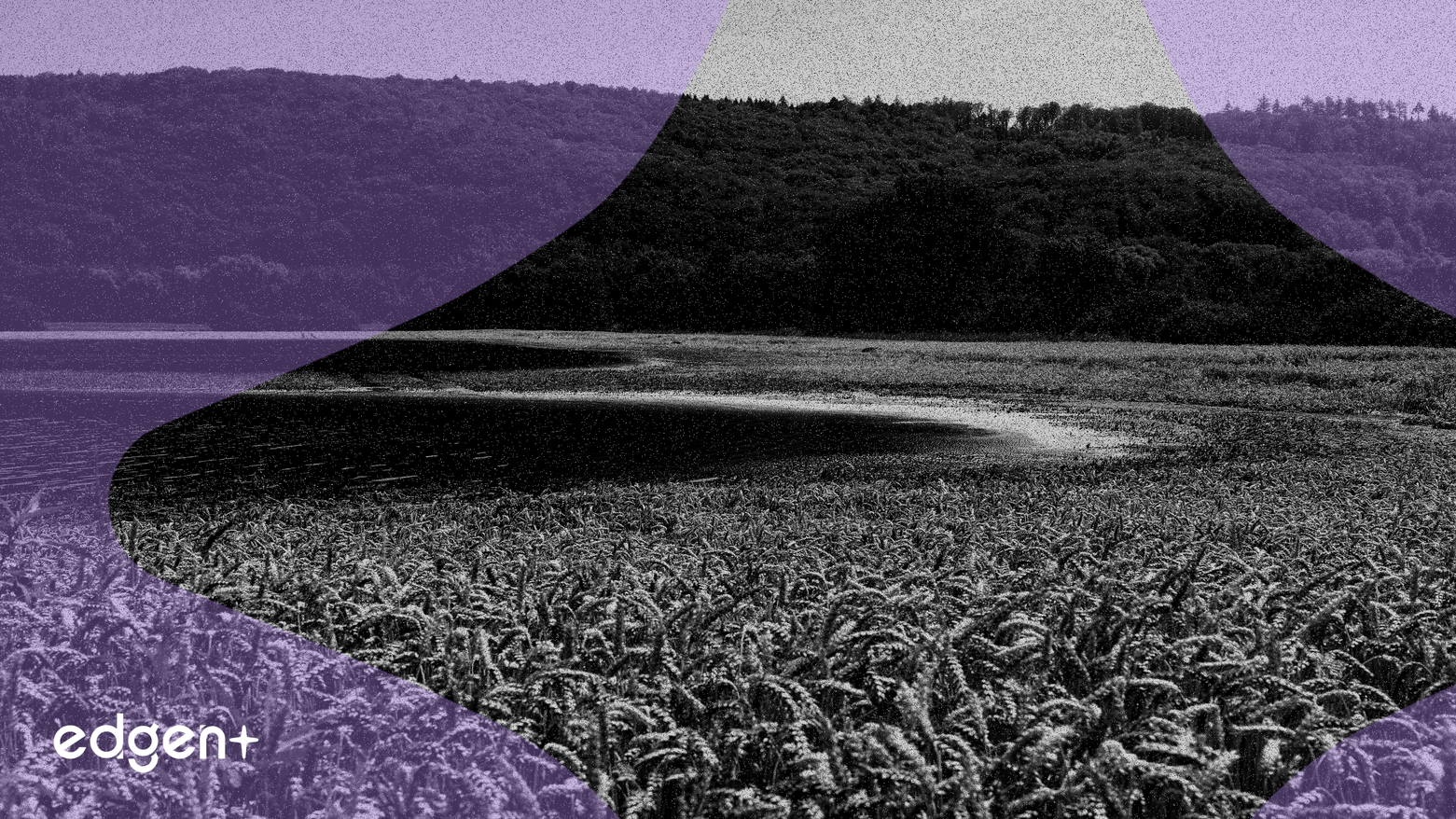 SharpLink Gaming 將 2 億美元 ETH 分配給 ConsenSys 的 Linea，以提高 DeFi 收益