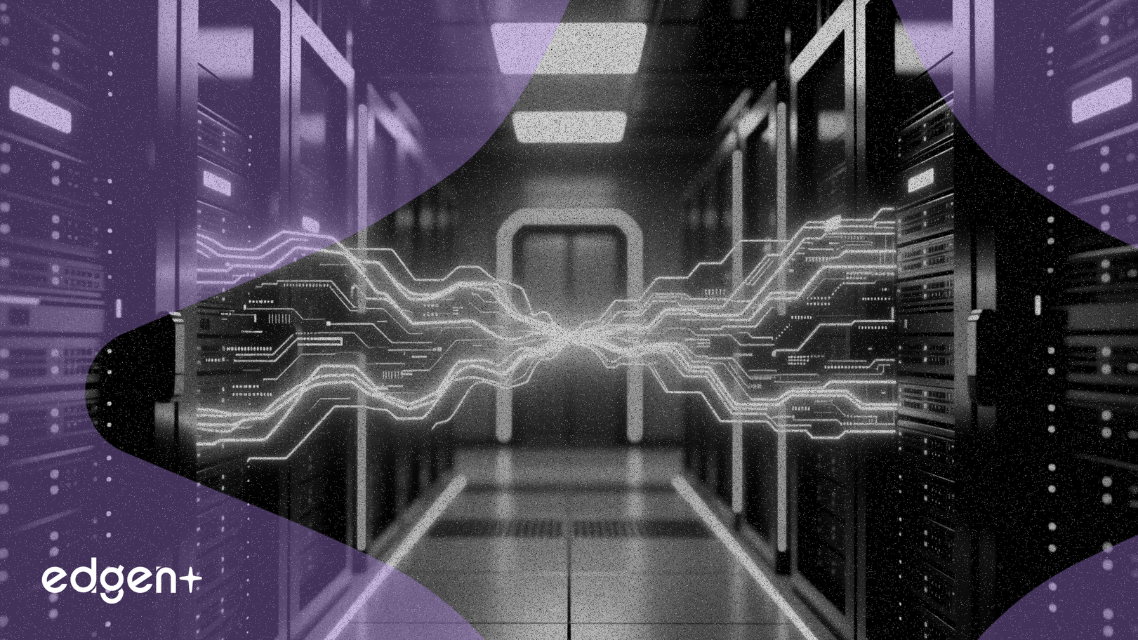 Semtech Acquires HieFo to Expand Data Center Business