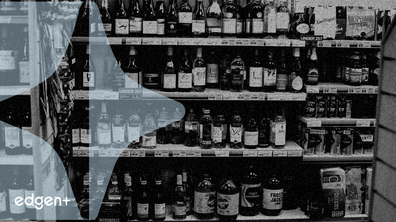 Celsius enregistre une croissance alors que Cizzle Brands défie le marché