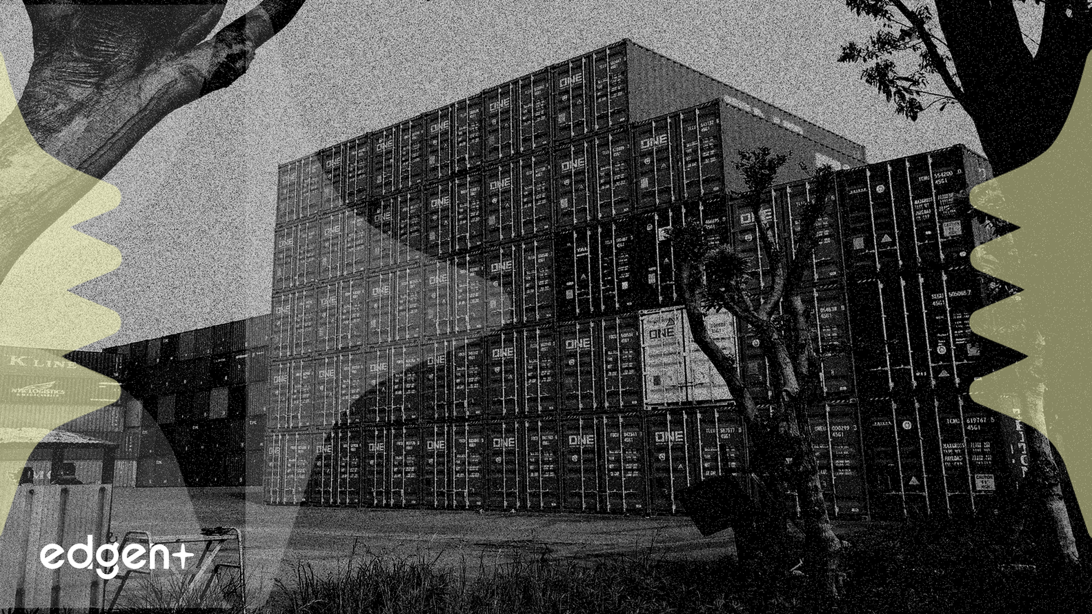 Les pressions tarifaires érodent les marges d'e.l.f. Beauty, le titre chute