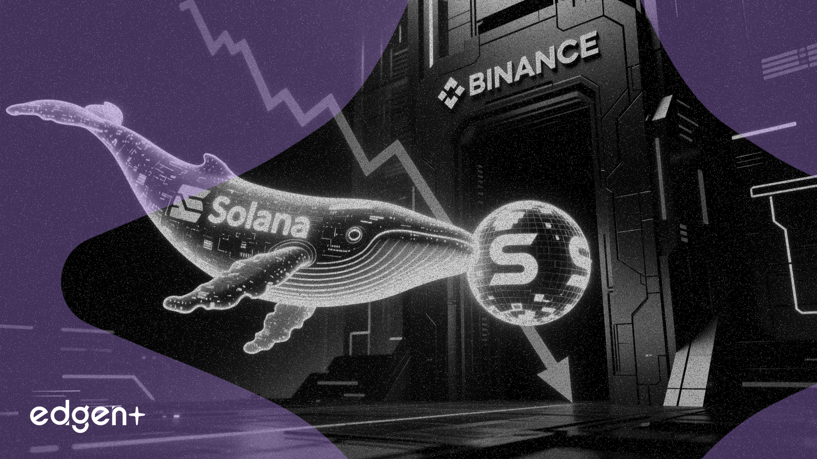 Ballena de Solana mueve $10,87 millones a Binance, señalando una potencial  venta masiva
