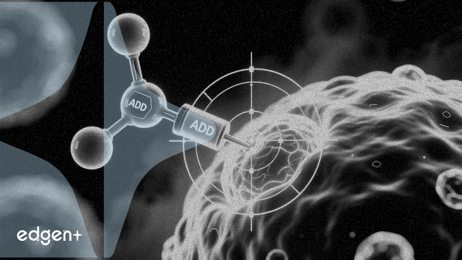 德国生物新技术公司瞄准前列腺癌市场，推动康宁杰瑞生物制药ADC于2026年进入三期临床试验