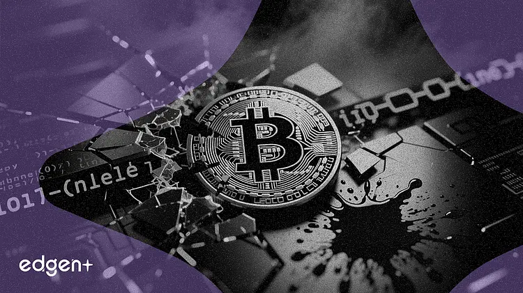 비엔나 암호화폐 살인 사건, 보안 위험 노출