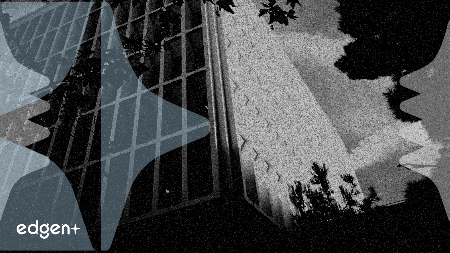 Rothschild souligne la résilience d'Alphabet après une décision antitrust « bénigne »