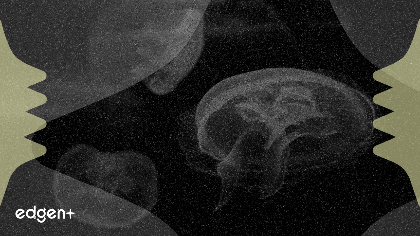 Nvidia sube un 3,93% a medida que crece la confianza de los investigadores de IA