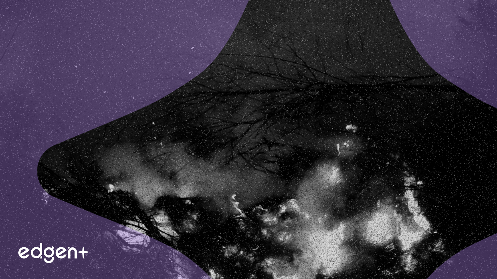 Novelis Alüminyum Tedarik Kesintisi Ortamında Ford Hisse Senedi Geriliyor