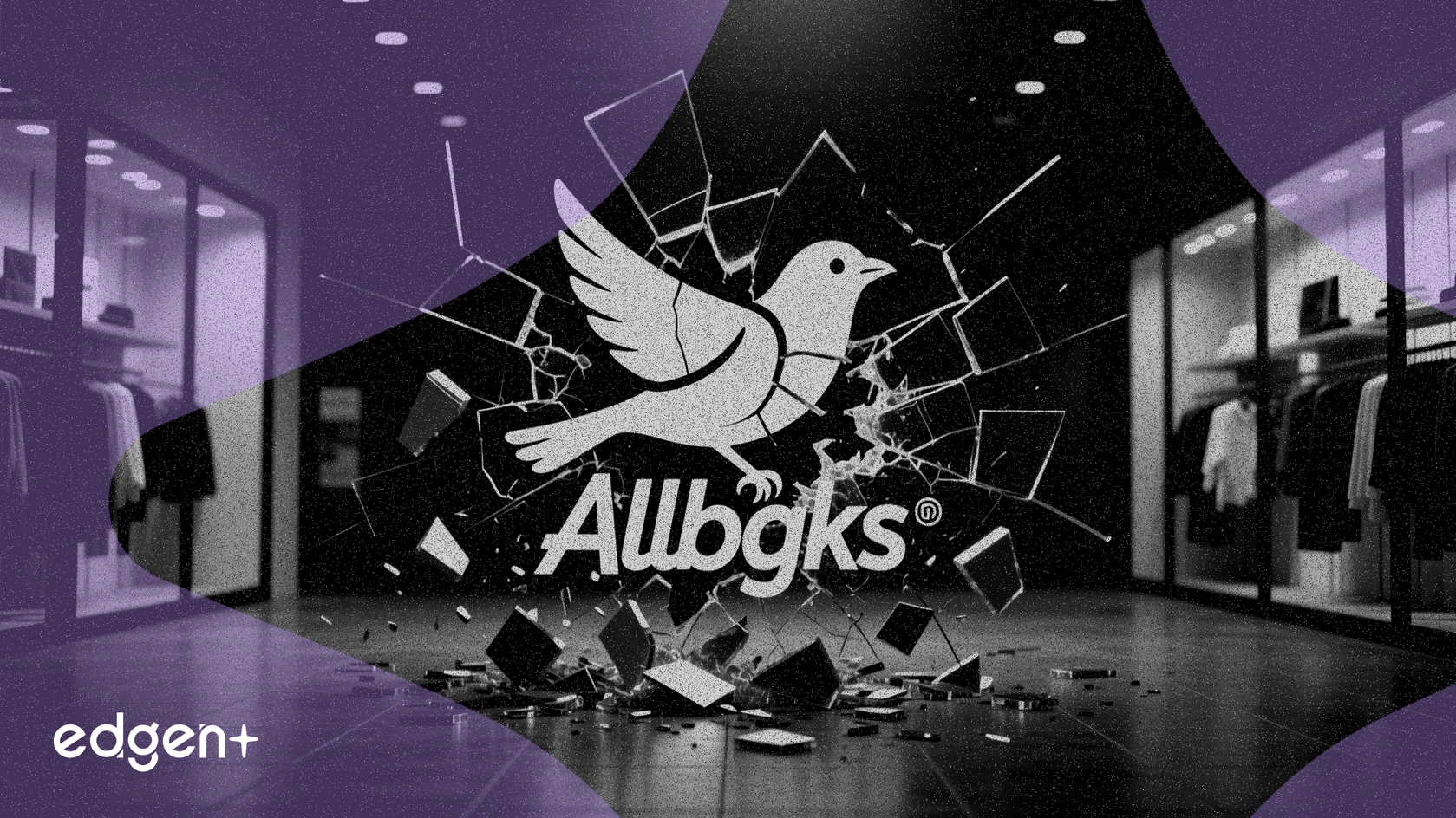 Allbirds Tüm ABD Mağazalarını Kapatıyor, 4.1 Milyar Dolarlık Düşüşü Sona Erdiriyor