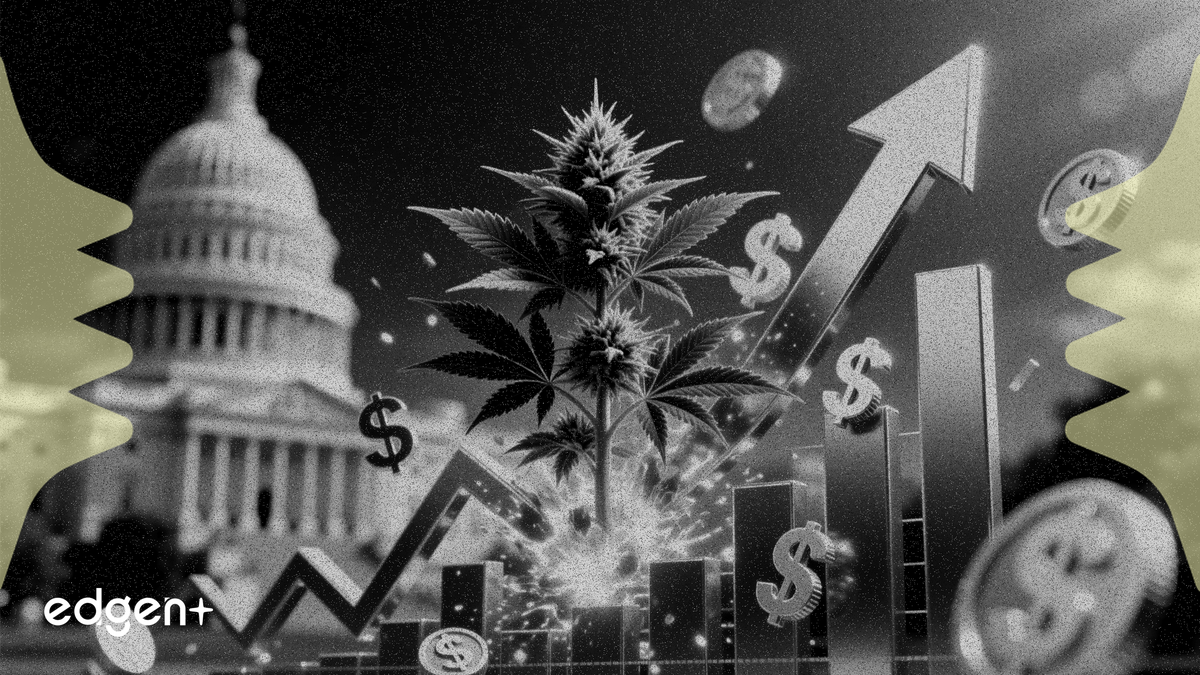 Les actions liées au cannabis bondissent de plus de 28 % suite aux rapports de reclassement aux États-Unis