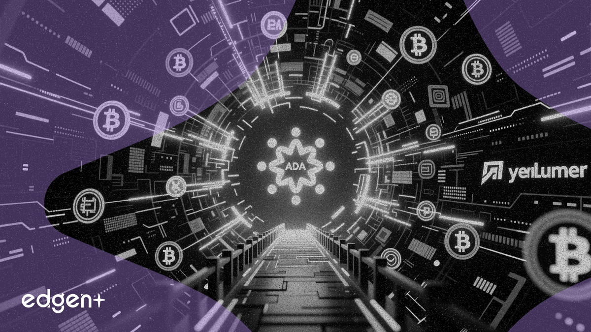 Cardano kết nối hơn 160 chuỗi khối thông qua tích hợp LayerZero