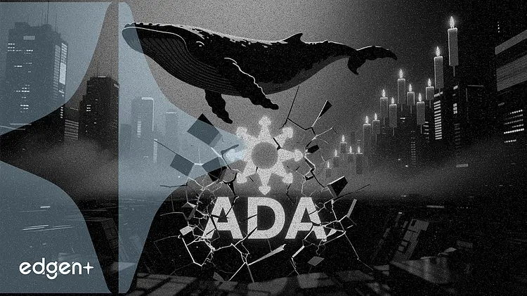 Cardano cae un 4,6% a $0,228 mientras la acumulación de ballenas no logra detener la liquidación