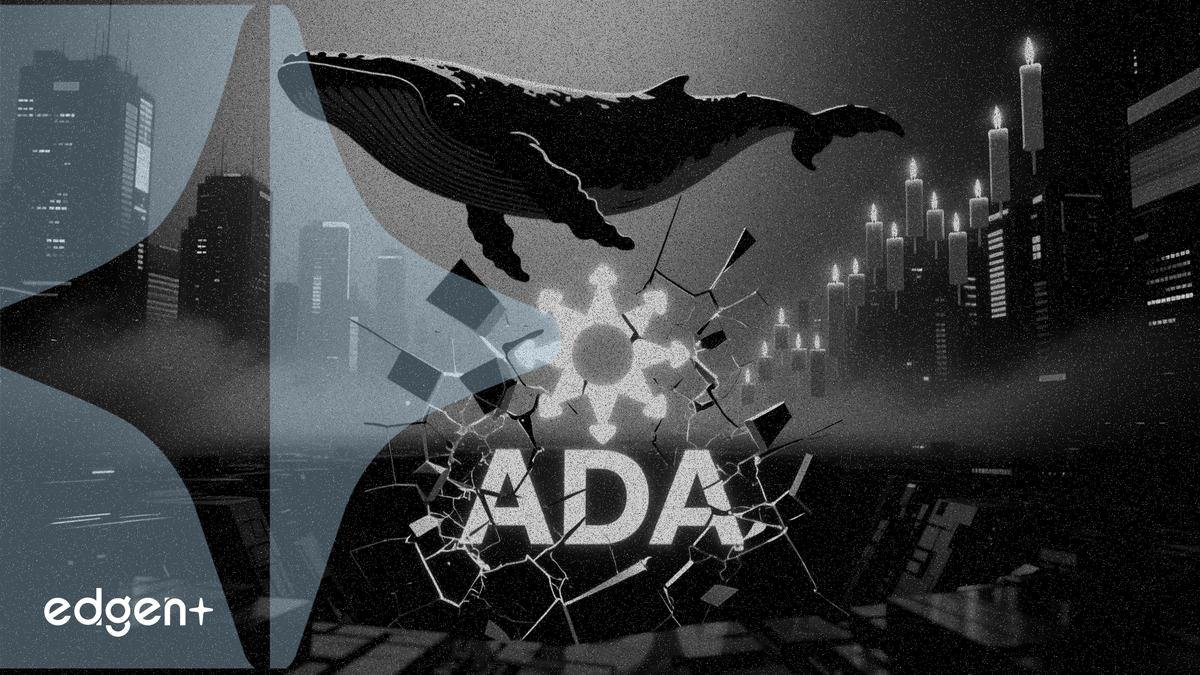 Cardano 下跌 4.6% 至 0.228 美元，鯨魚增持未能阻止賣壓
