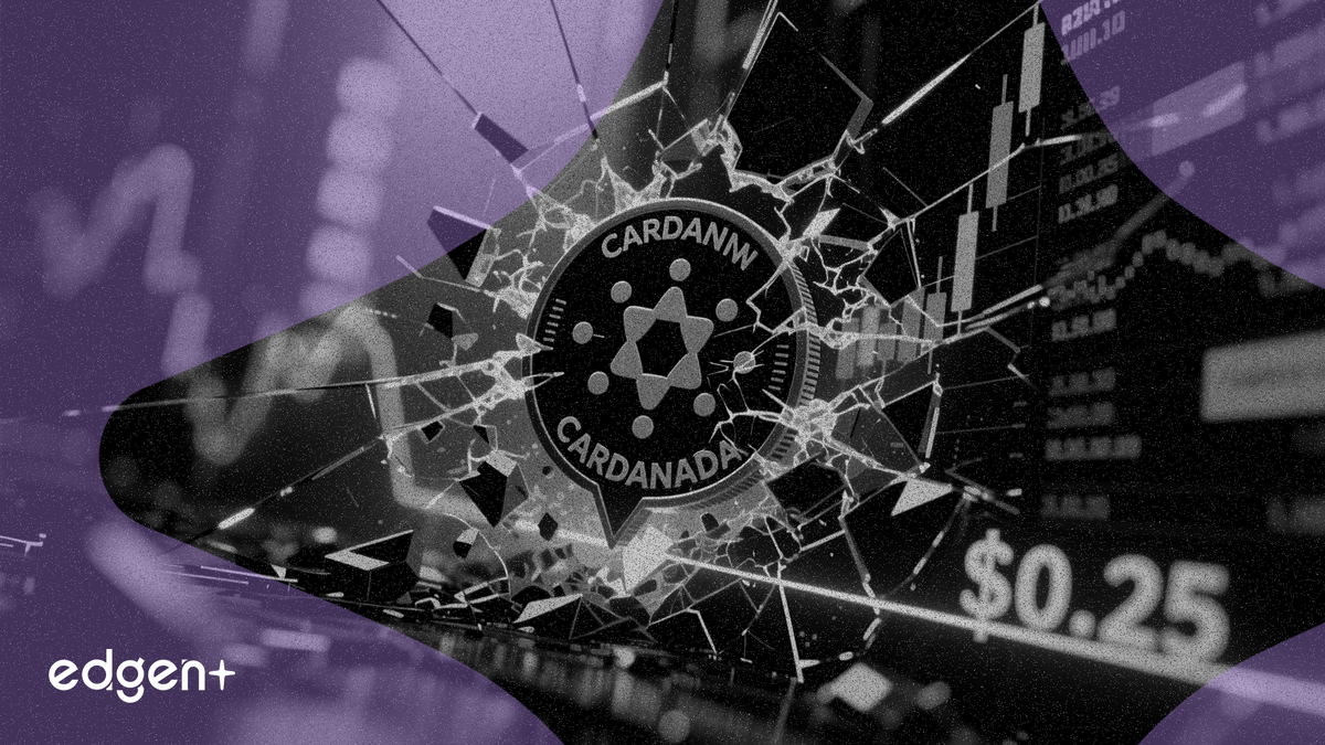 Cardano 下跌 5.7% 測試 0.25 美元支撐位，清算規模上升