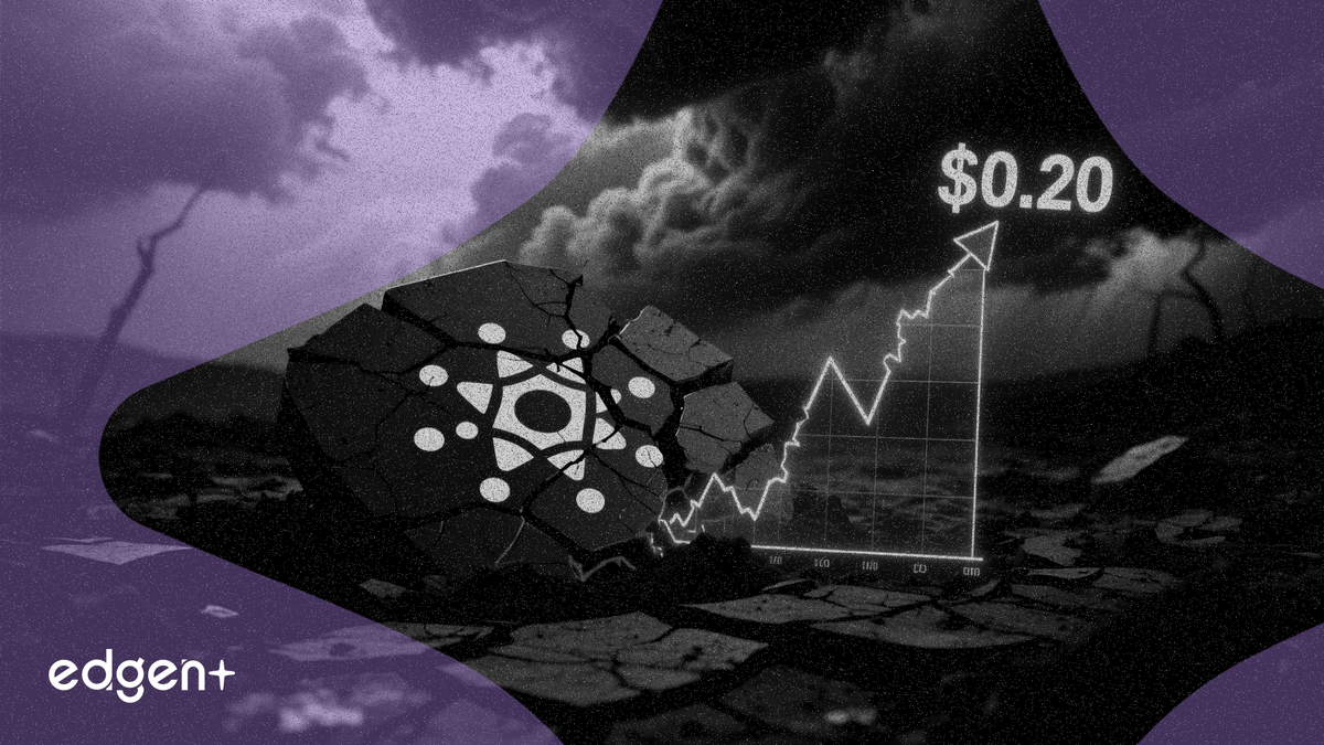 카르다노, 생태계 붕괴 심화 속 5.5년 만에 최저치 $0.20 아래로 추락