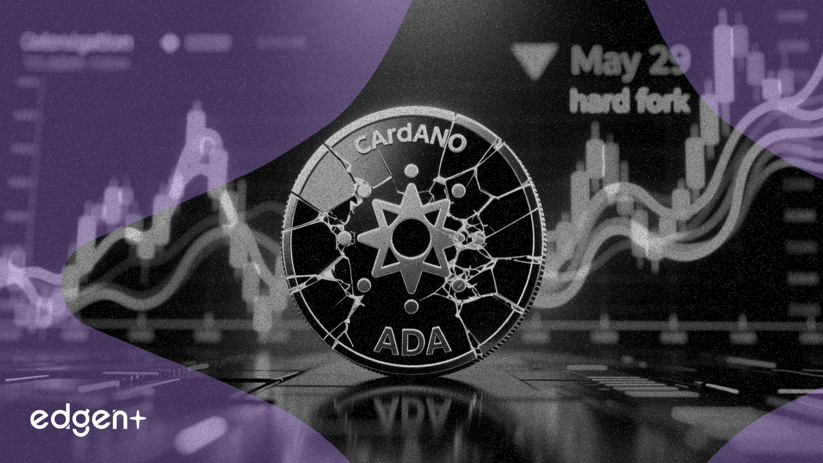 Cardano 价格在 0.25 美元附近停滞,V11 硬分叉在 5 月 29 日投票前上线