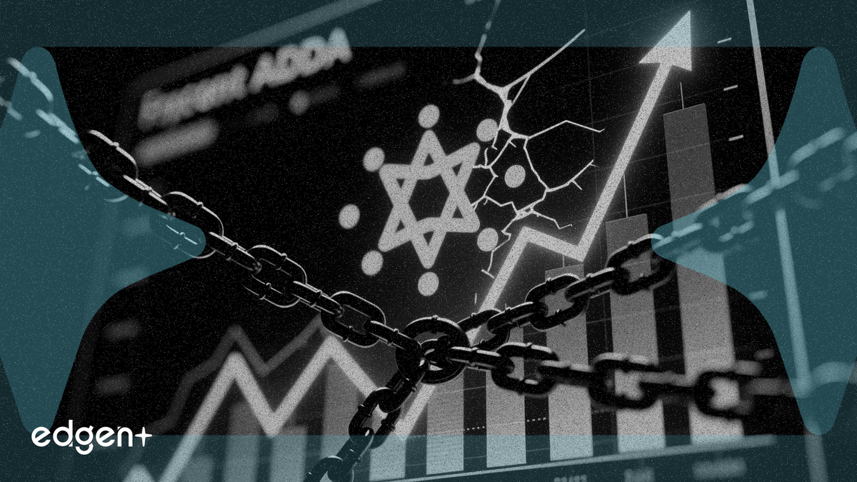 카르다노 공매도 9개월 최고치 기록, 잠재적 바닥 신호