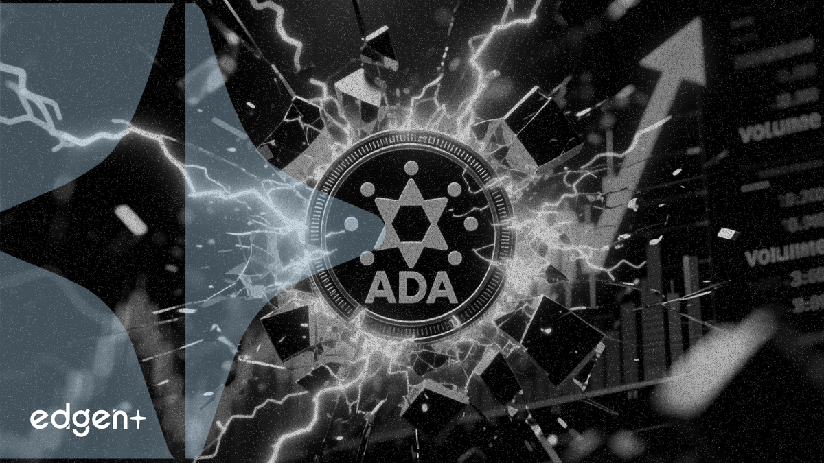 Cardano Hacmi Piyasa Belirsizliği Ortasında Yaklaşık %80 Patladı