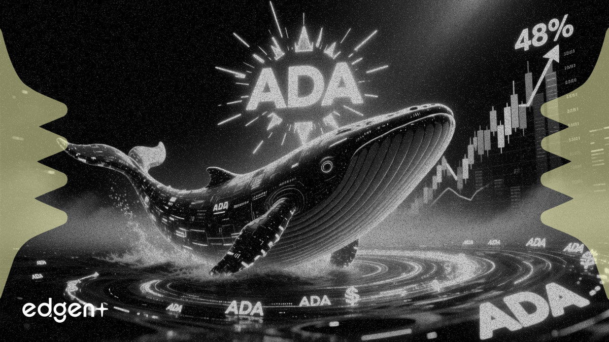 Cardano 交易量激增 48%，巨鯨帳戶增持 8.19 億枚 ADA